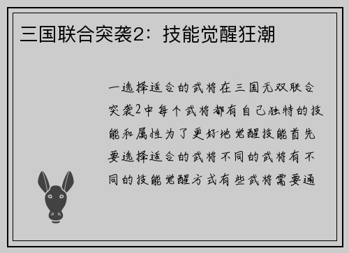 三国联合突袭2：技能觉醒狂潮